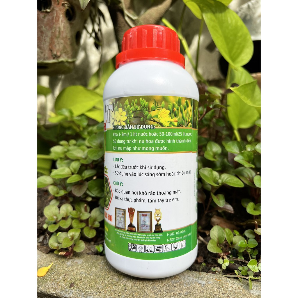 Phân Bón Dưỡng Nụ Mai Max Flower Chai 0,5 Lít - Giúp Mập Nụ, Hoa Mai Nở Lâu, Màu Đẹp, Hạn Chế Rụng Hoa