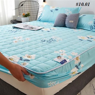 Ga trải giường chun trần bông