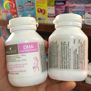 DHA bầu Bio Island 60v mẫu mới