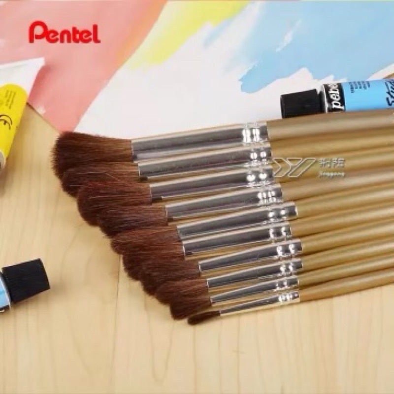 CỌ VẼ MÀU NƯỚC PENTEL - SỐ 046810