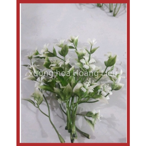 Combo 100gr Cỏ Điểm Cân, cỏ điểm trang trí.