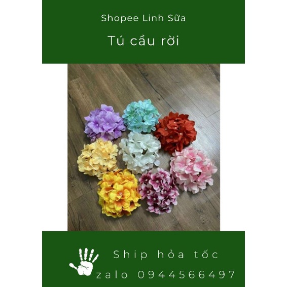 Hoa Tú Cầu
