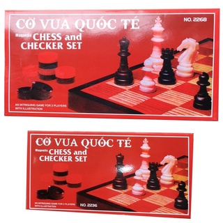 Bộ cờ vua nam châm, cờ vua quốc tế