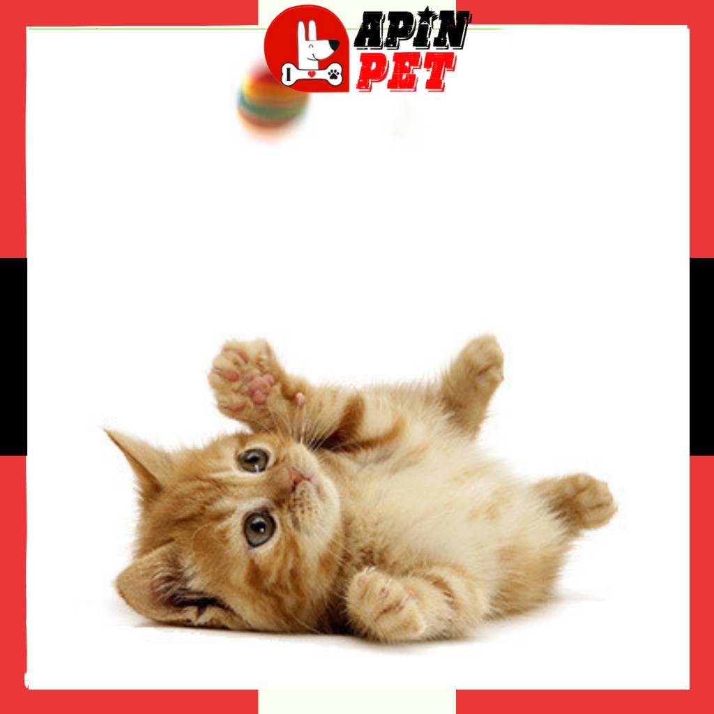 Bóng Đồ Chơi Cho Chó Mèo Con Gặm 7 màu-Shop ApinPet
