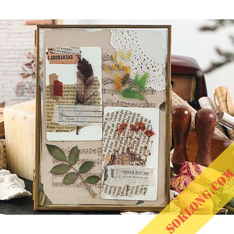 Bộ 6 hoa lá khô STI13, sticker trang trí album, sổ tay Tuệ Minh