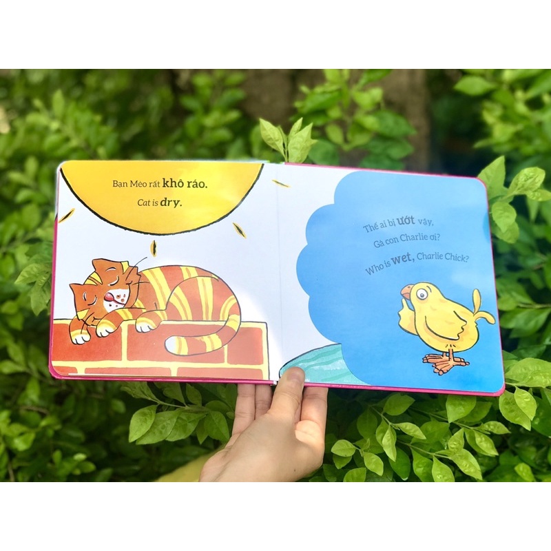 Sách-Tương tác lật mở - Các từ trái nghĩa - Opposites