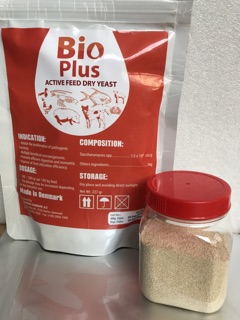 Men tiêu hoá Bio Plus hủ 100gr