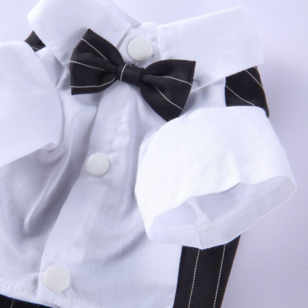 1 Bộ ÁO + QuầN ThắT Nơ AUGUSTINA MềM MạI Cho Thú Cưng