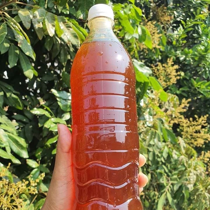 Mật ong nguyên chất Tây Bắc