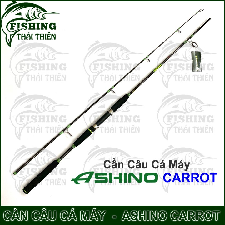 Cần câu cá Ashino Carrot Cần 2 khúc máy đứng cán hở dòng mới 2m1, 2m4, 2m7, 3m0
