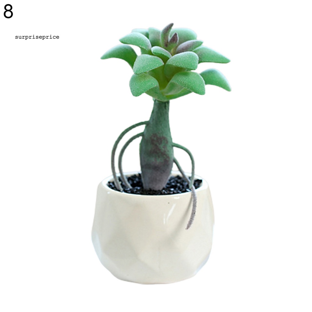 Chậu Cây Giả Mini Dùng Trang Trí Nhà Cửa