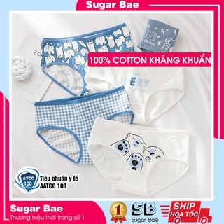 Quần Lót Nữ Cotton Cao Cấp Hình Gấu Trắng Cute Dễ Thương QL02