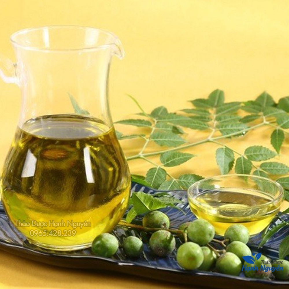 Lá neem khô Ấn Độ 500g (Lá xoan kháng khuẩn, ổn định đường huyết) - Thảo Dược Hạnh Nguyên