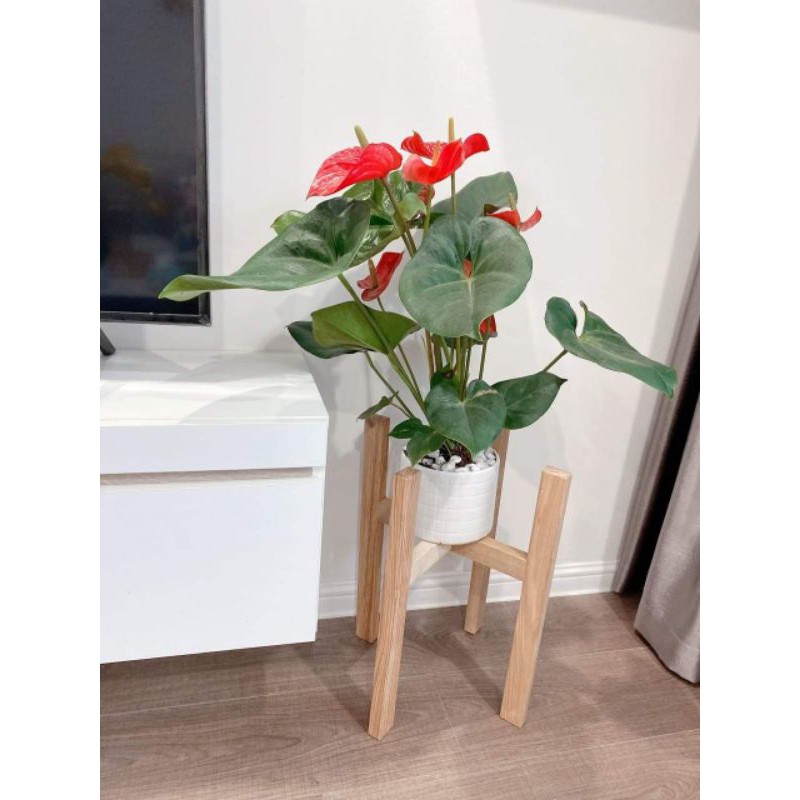 Đôn gỗ để bình nước 20l, Đôn gỗ để cây big size,  Kệ gỗ kê bình nước 20l, Kệ gỗ để cây bigsize - Hàng đặt