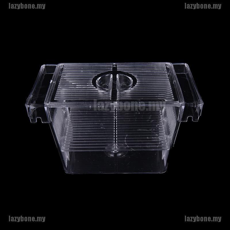 Lồng Ấp Trứng Cá Cách Ly Cho Bể Cá