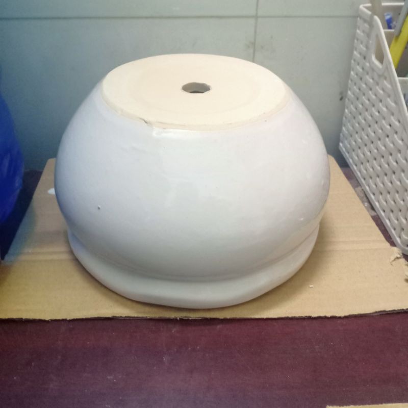 Chậu sứ miệng bèo - KT: R18 x C11 x Đ11