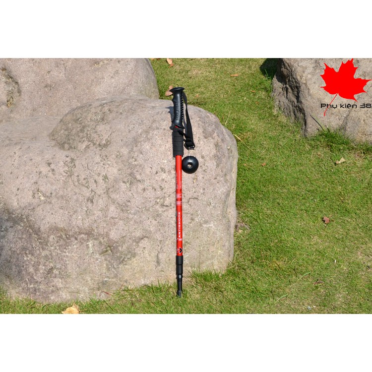 Gậy leo núi hợp kim nhôm hàng không Trekking Đi Rừng, Dã Ngoại, Đi Phượt