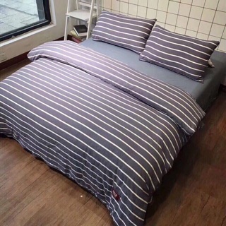 Set đũi Muji