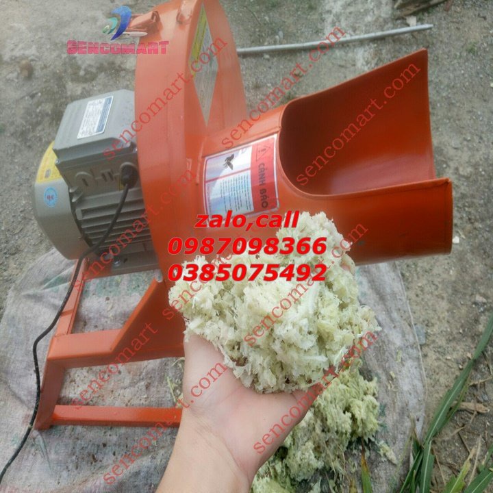 Máy Xay Chuối Mịn Chăn Nuôi Gà ,Vịt - Xay Cỏ Voi Chăn Nuôi Trâu,Bò,Dê