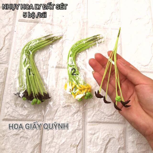 TÚI 5 BỘ NHỤY LY ĐẤT SÉT