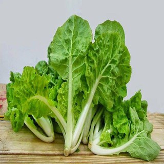 Gói 10g & 50g hạt giống Cải Bẹ Dún ST