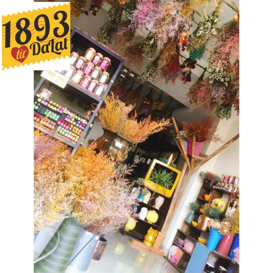 TRÀ NGỦ NGON GOODNIGHT HŨ NHỎ ( Thư giãn - Ngủ Ngon ) | BigBuy360 - bigbuy360.vn