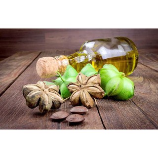 Dầu Sachi inchi Organic ép lạnh - giàu omega 3,6,9 tốt cho trẻ