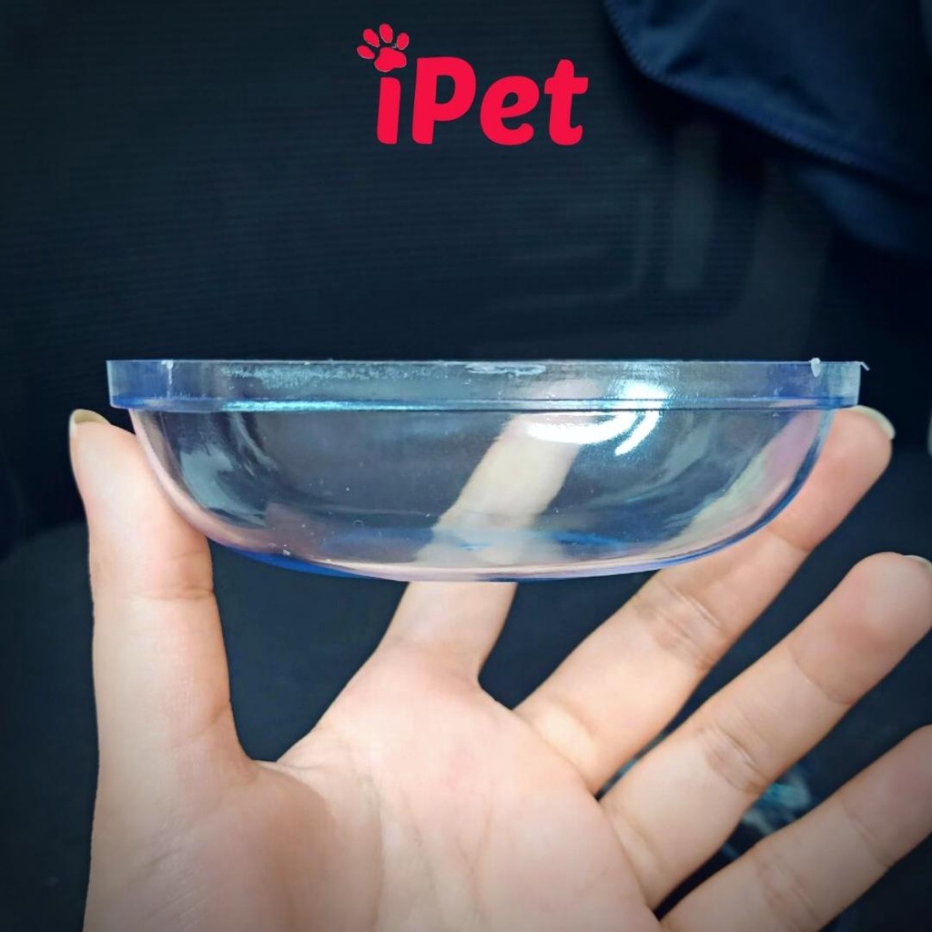 Nhà Tắm Ếch Mika Trong Suốt Dành Cho Hamster - iPet Shop