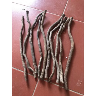 Phôi cầu thuốc cho lồngg chim