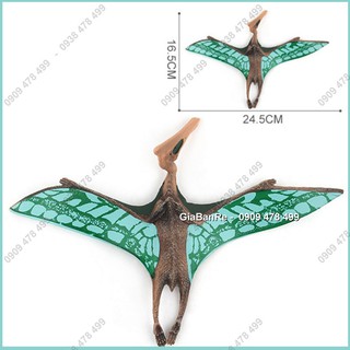 Mô Hình Khủng Long Thằn Lằn Bay Pteranodon - 7748.3