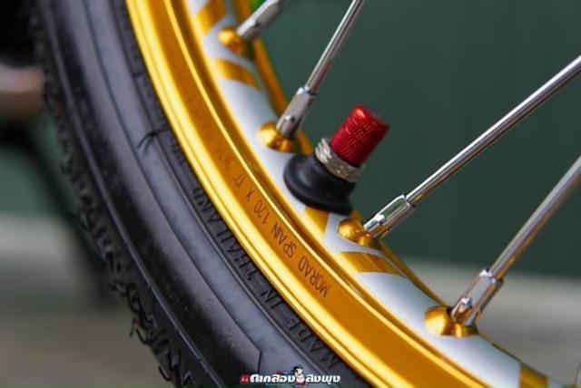 Cặp 2 cái cao su van dòi Thái, cao su chân van màu cho xe số và tay ga. Cao su dẻo không bay màu