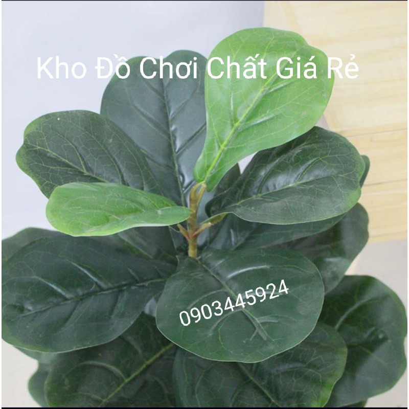 Cây bàng 1 nhánh lá bóng cao 58cm-Cây giả