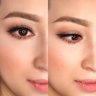 Mi chồn Celin cao cấp. 