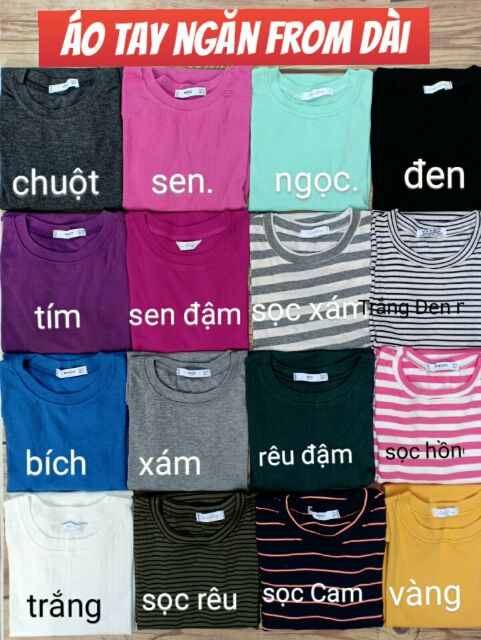 ÁO PHÔNG TRƠN TAY LỠ
