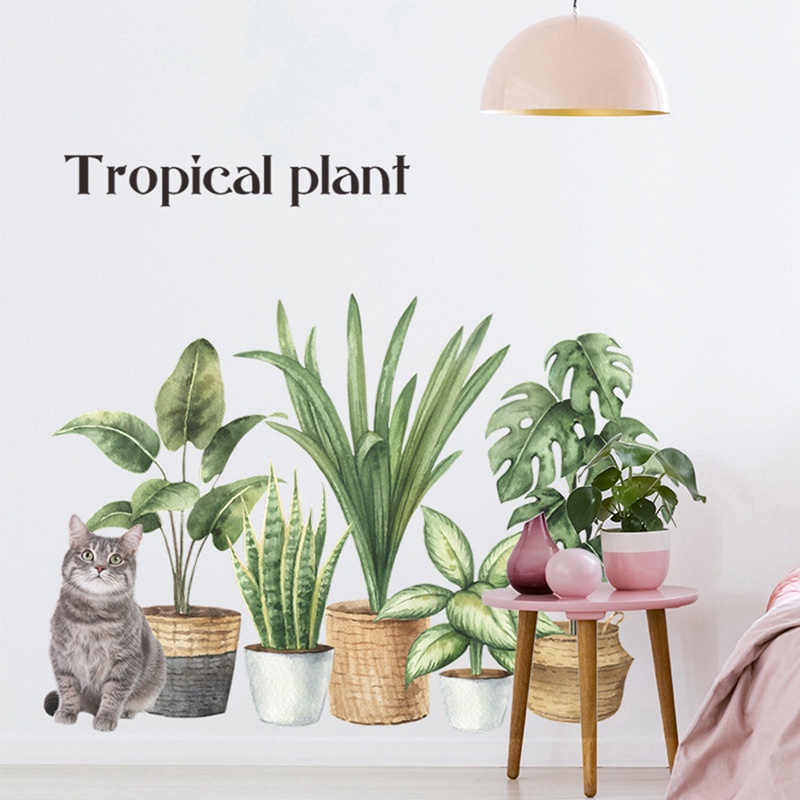 Sticker Dán Tường Họa Tiết Hình Chậu Cây Xương Rồng Khổ Lớn Để Trang Trí Phòng Khách