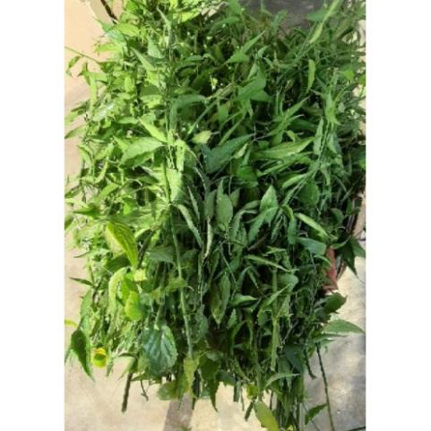 1kg Cây Xương Khỉ  phơi khô hàng loại 1