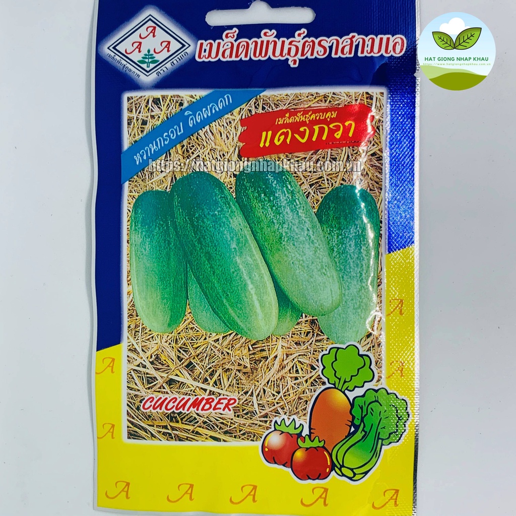 Hạt Giống Dưa Chuột Mèo Thái Lan. 100~200 hạt/ gói. Hàng nhập Thái Lan. Tặng 1 gói với đơn hàng 8 gói.