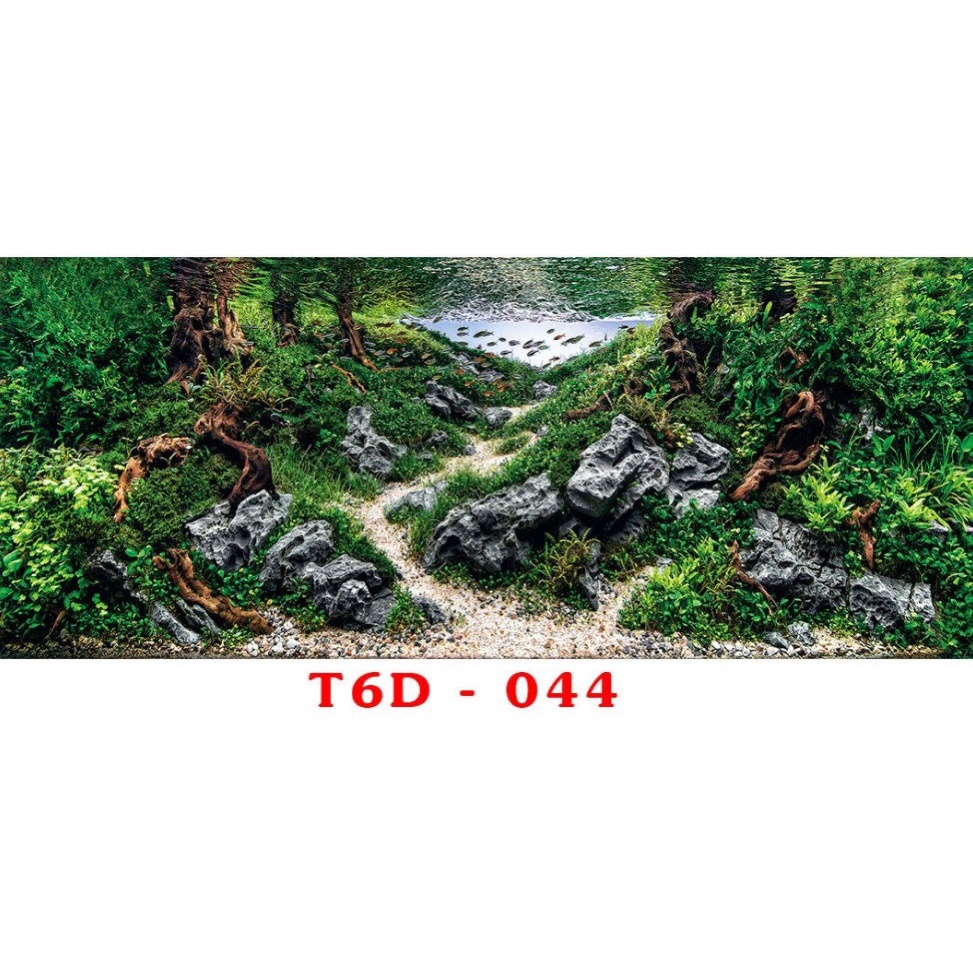 Tranh 3D trang trí hồ cá, bán cạn tiểu cảnh - chủ đề Đại dương xanh part 5