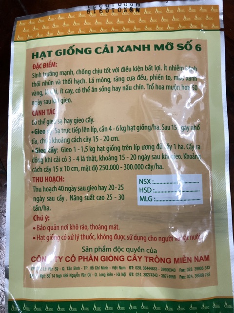 Hạt giống cải xanh mỡ số 6 (50gr/ gói)