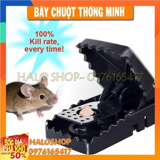 Bẫy chuột thông minh siêu tiện lợi