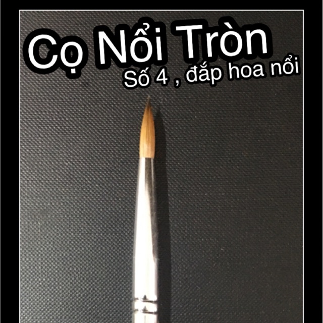 Cọ Nổi Tròn Số 4