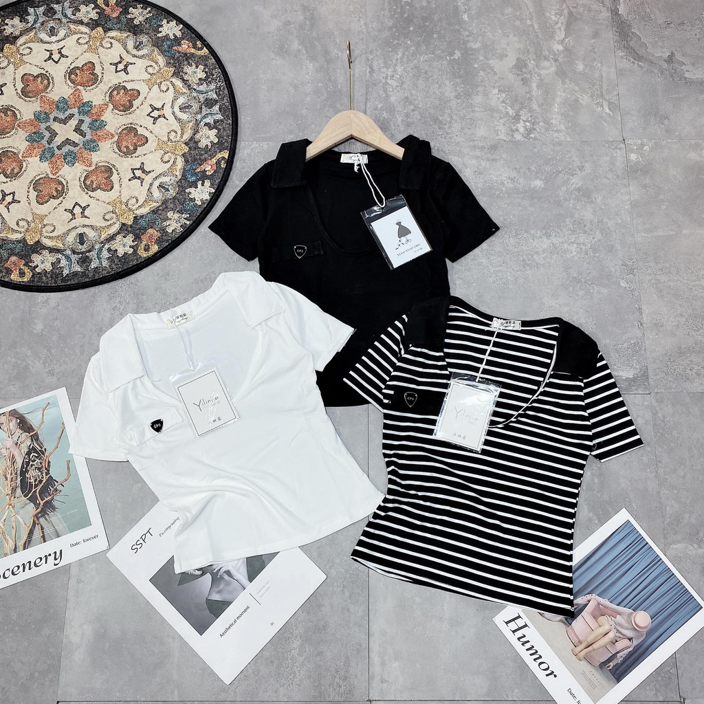 Áo phông cổ bẻ Khoét ngực 3 màu 822 ( kèm ảnh thật, video ) | BigBuy360 - bigbuy360.vn