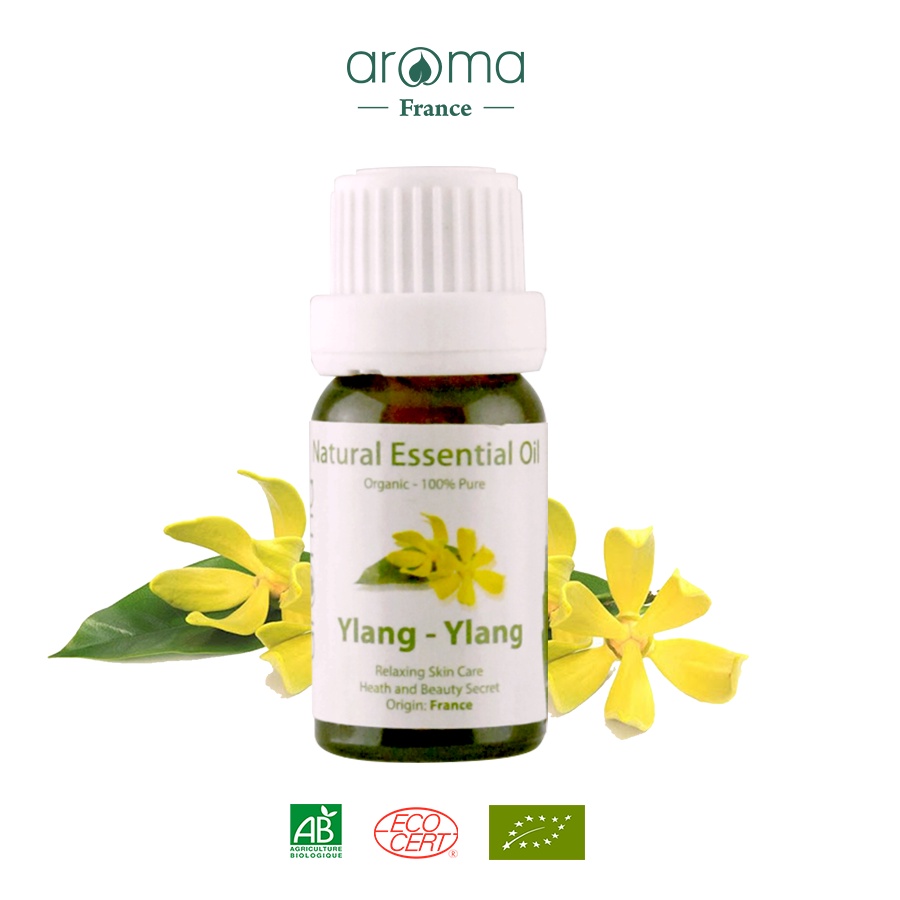 Tinh dầu xông phòng AROMA Hương Hoa Ngọc Lan Tây - Ylang &amp; Ylang 10ml