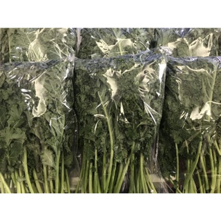 Rau Cải xoăn Kale tươi hữu cơ Đà Lạt 500g
