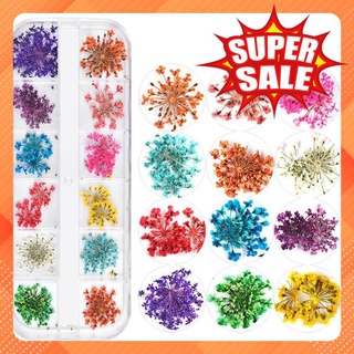 Hoa Khô Trang Trí Móng Nghệ Thuật (12 mẫu)