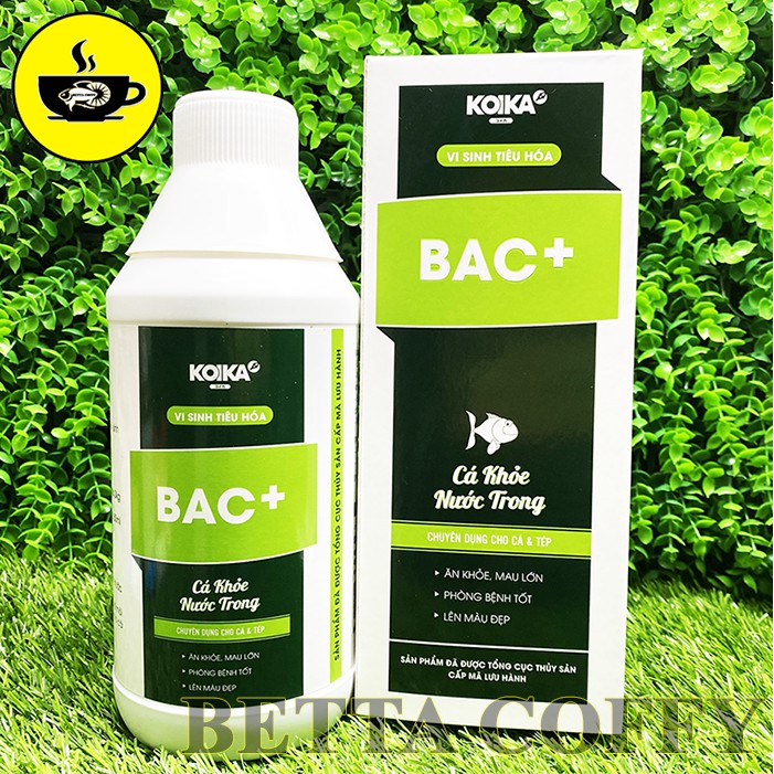 [Chai Lớn] Vi Sinh Tiêu Hóa BAC + Giúp Cá Khỏe Nước Trong