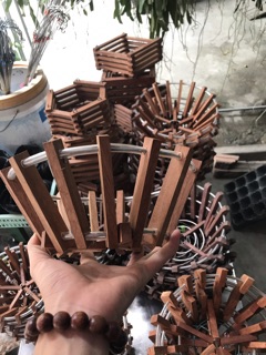 Chậu gỗ Căm xe trồng Lan phi 20, cao 12cm