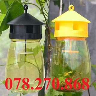 [ Xả Kho chỉ còn 35.000/bình - BẪY RUỒI VÀNG ( đã kèm mồi )