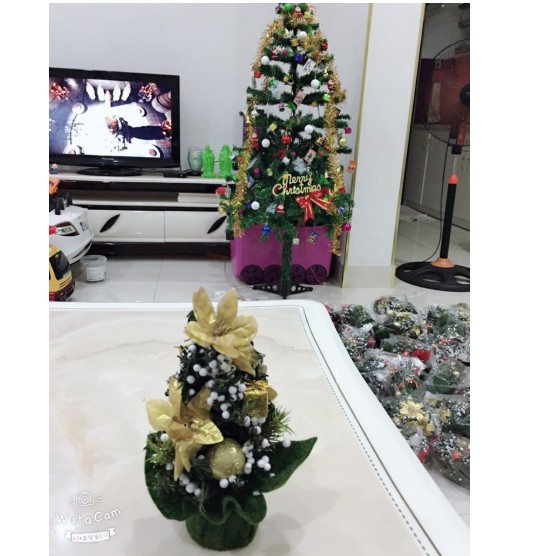 Cây thông Noel để bàn