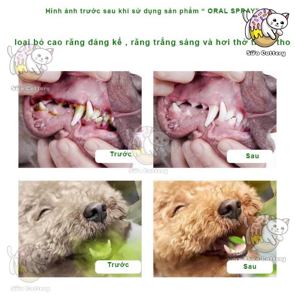 Xịt thơm miệng cho thú cưng, khử mùi hôi răng miệng, chăm sóc răng miệng cho chó mèo, 100% thảo dược